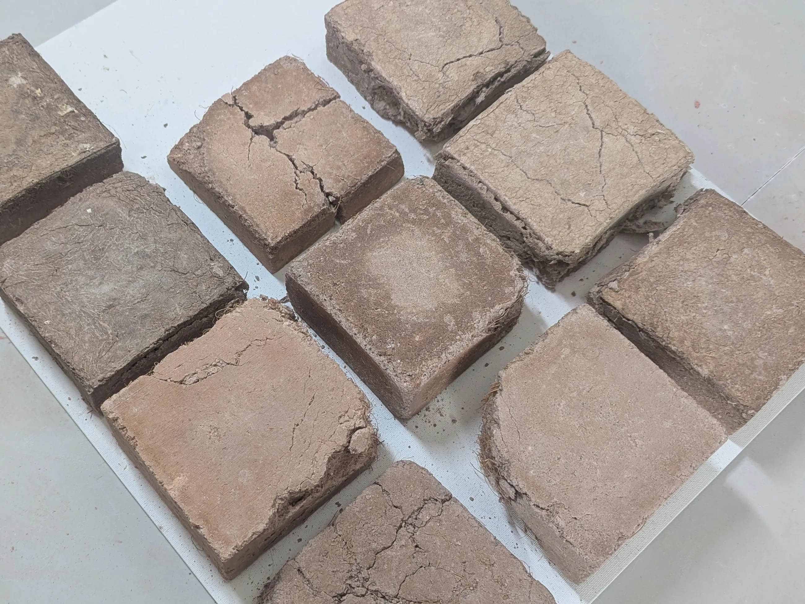 Multiple coconut brick prototypes arranged together with visible cracks on some samples.