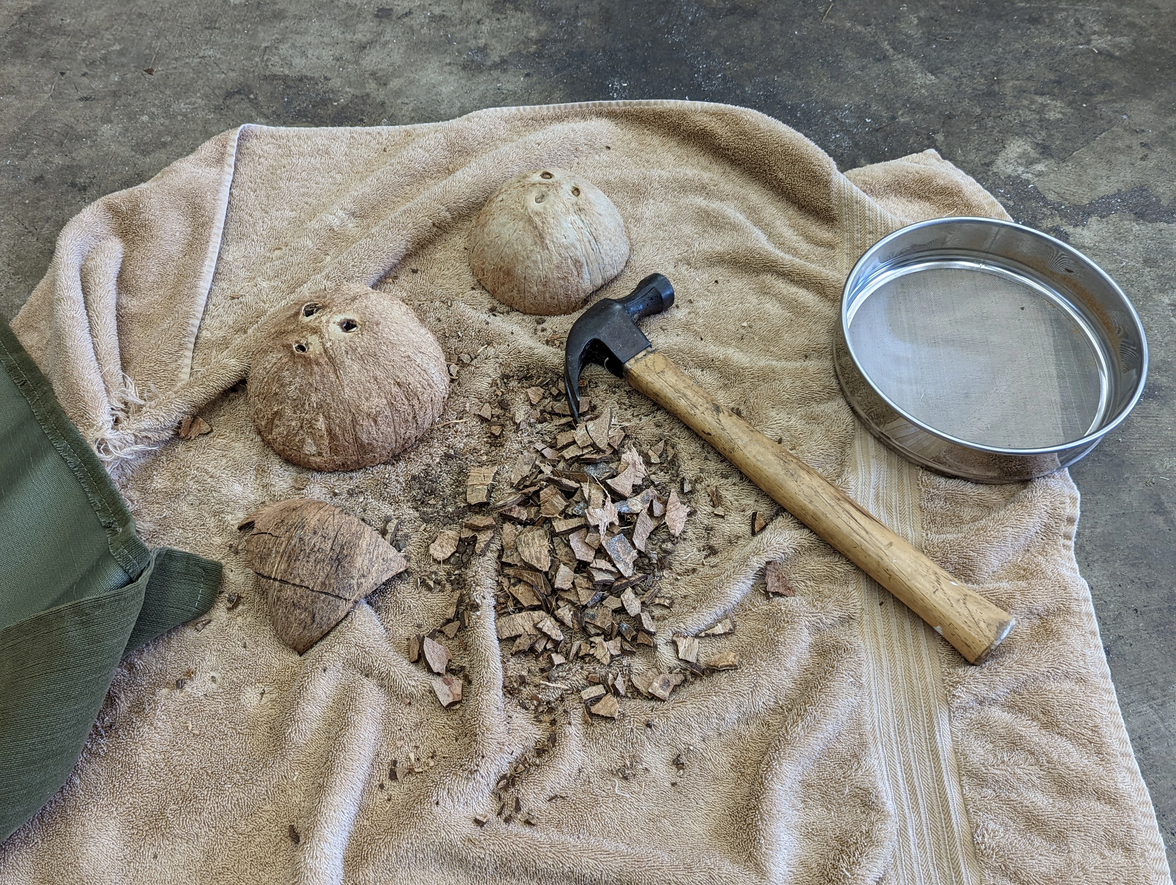 Prepared coconut shell fragments used for prototype material testing.