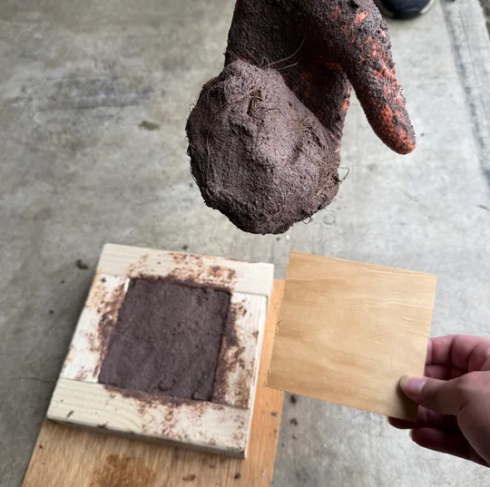 Coconut brick mixture being tested in a small mold